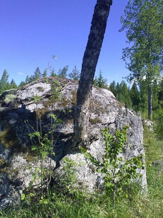 vaikka läpi harmaan kiven..
