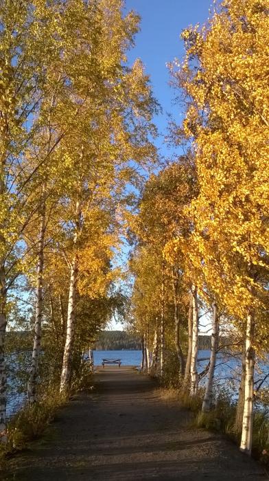 syksyn värejä leirintäalueen rannassa
