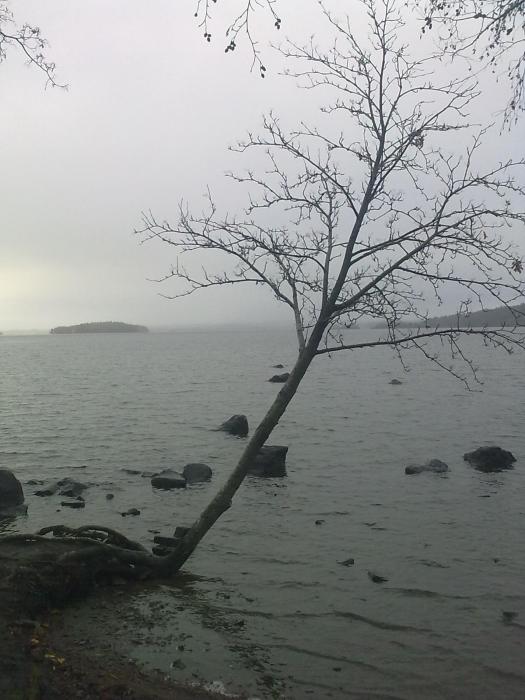 tamperelainen ei hevin luovuta..
